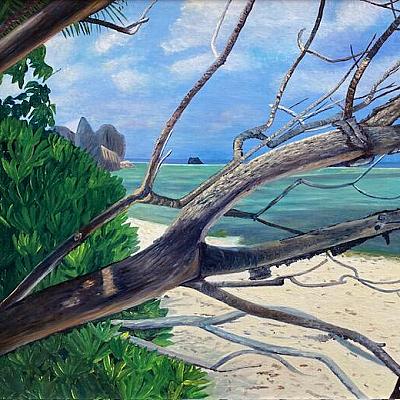 Anse Source d'argent